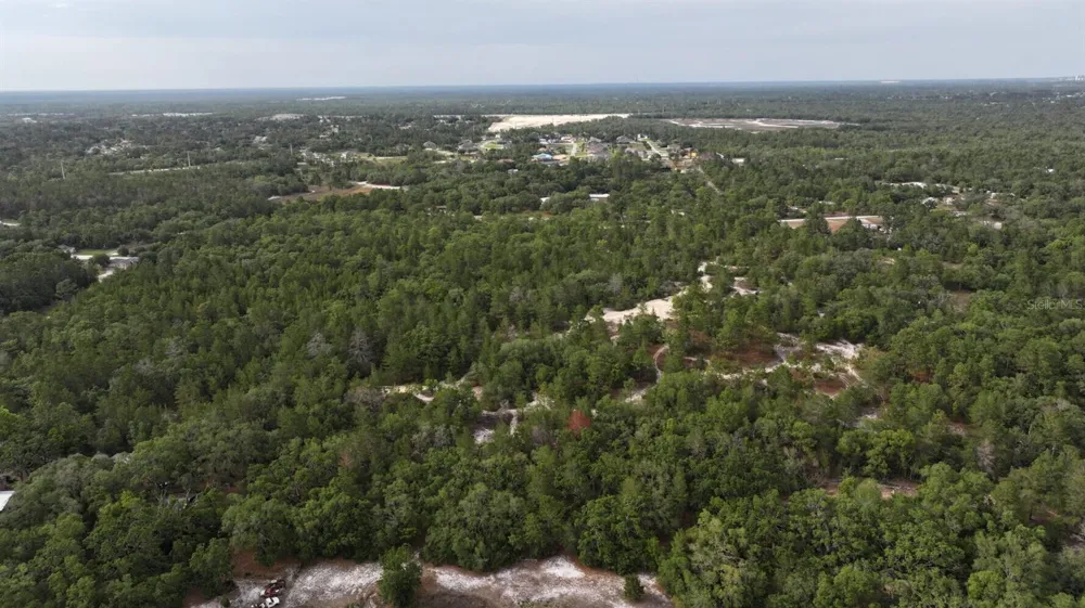 11488 SEELY LANE Brooksville, FL 34613