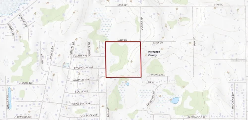 11488 SEELY LANE Brooksville, FL 34613
