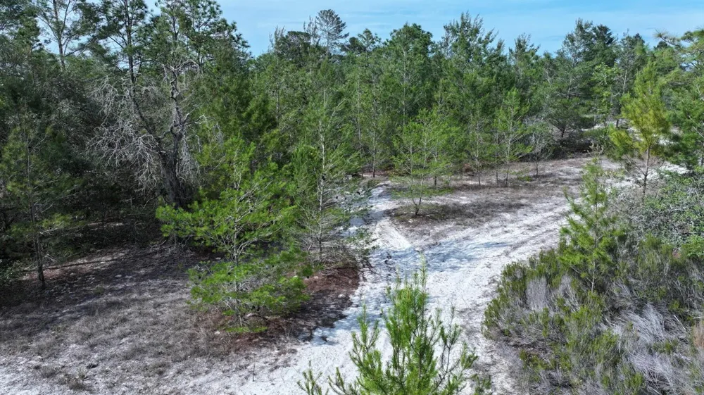 11488 SEELY LANE Brooksville, FL 34613