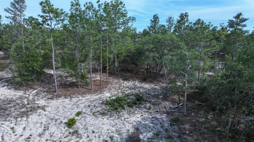 11488 SEELY LANE Brooksville, FL 34613