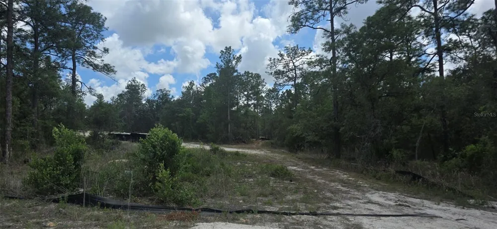 11488 SEELY LANE Brooksville, FL 34613