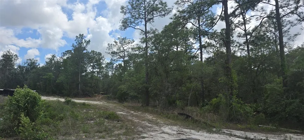 11488 SEELY LANE Brooksville, FL 34613