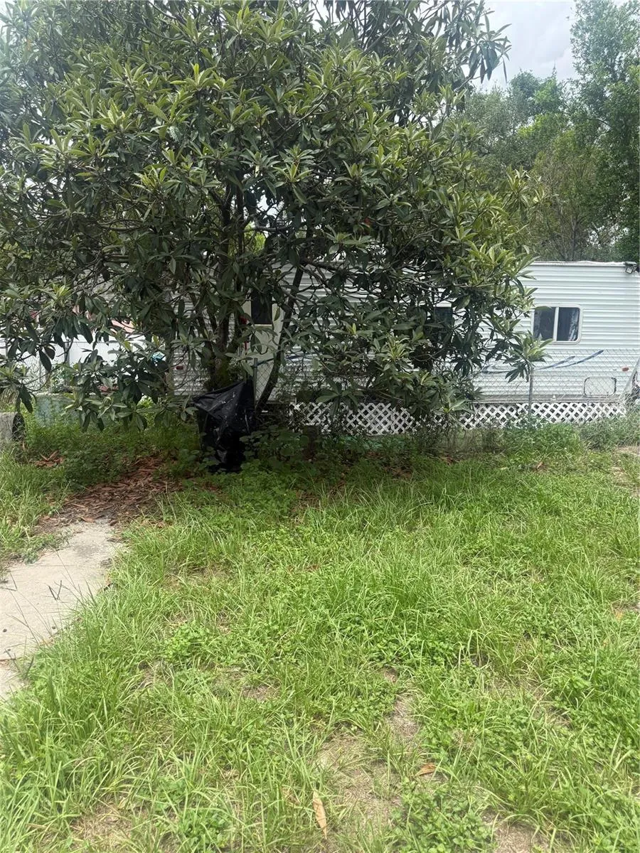 3012 ALBANY AVENUE Tampa, FL 33607