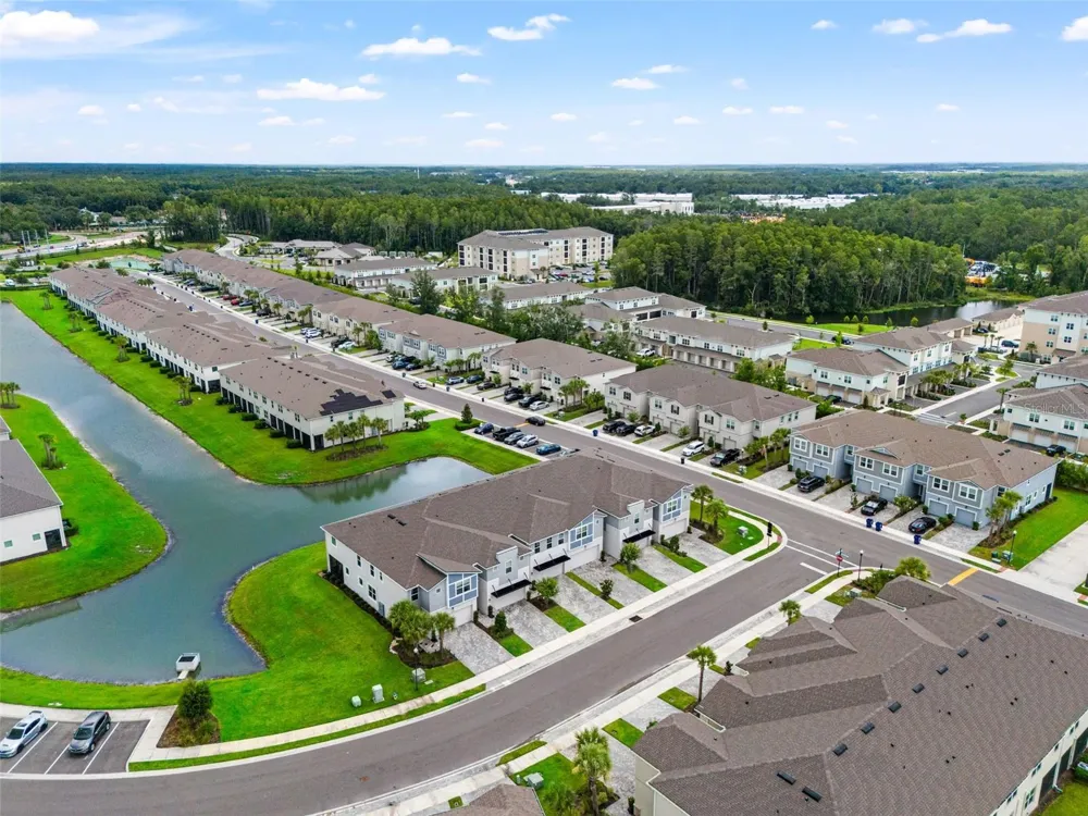 26069 WOVEN WICKER BEND Lutz, FL 33559