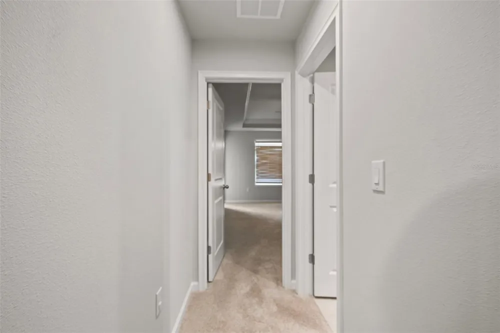 26069 WOVEN WICKER BEND Lutz, FL 33559