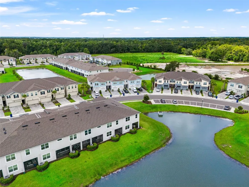 26069 WOVEN WICKER BEND Lutz, FL 33559