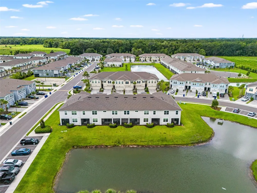 26069 WOVEN WICKER BEND Lutz, FL 33559