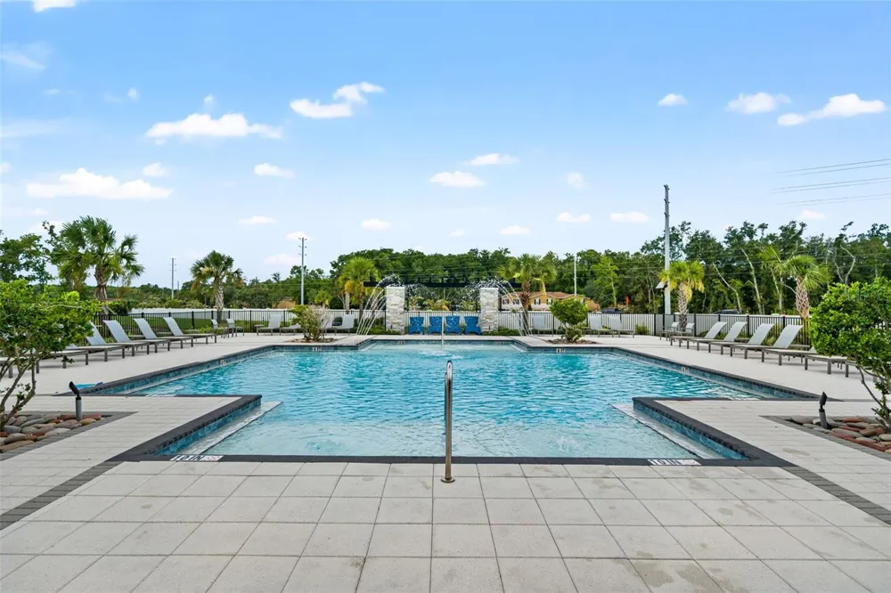 26069 WOVEN WICKER BEND Lutz, FL 33559