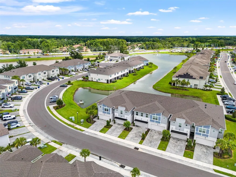 26069 WOVEN WICKER BEND Lutz, FL 33559