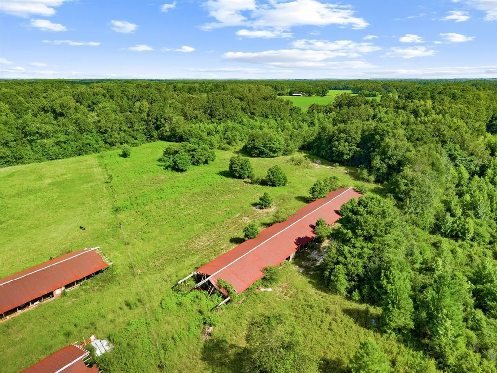 2853 R M WARD ROAD Ponce De Leon, FL 32455