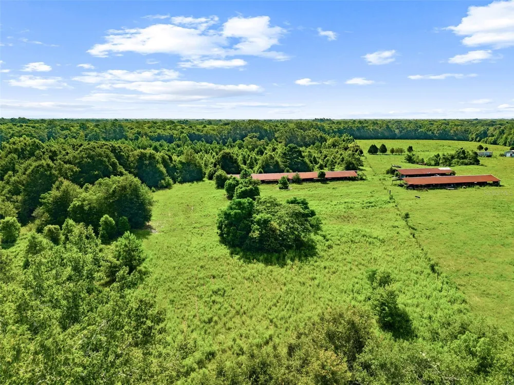 2853 R M WARD ROAD Ponce De Leon, FL 32455