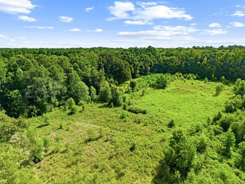 2853 R M WARD ROAD Ponce De Leon, FL 32455