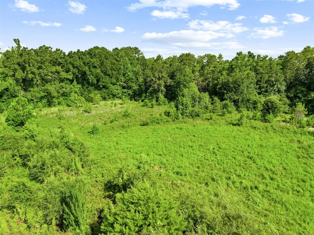 2853 R M WARD ROAD Ponce De Leon, FL 32455