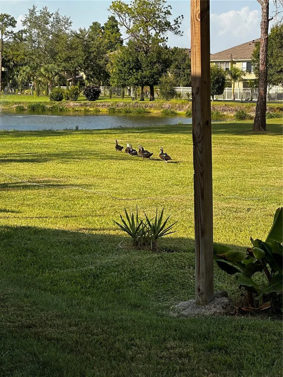8235 BURGUNDY DRIVE #3 Pinellas Park, FL 33781