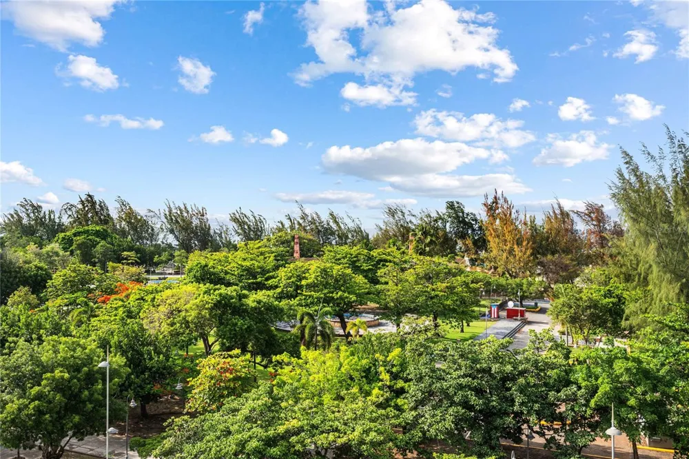 540 DE LA CONSTITUCION AVENUE #701 San Juan, PR 00901