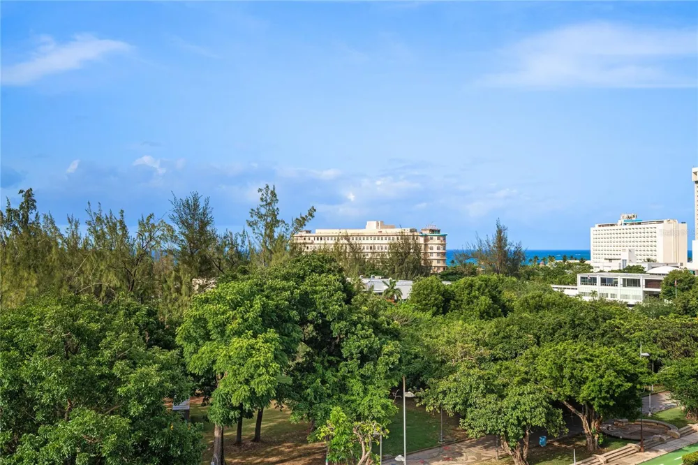 540 DE LA CONSTITUCION AVENUE #701 San Juan, PR 00901