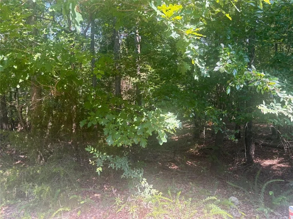 13 Jewell Drive SE Rome, GA 30161
