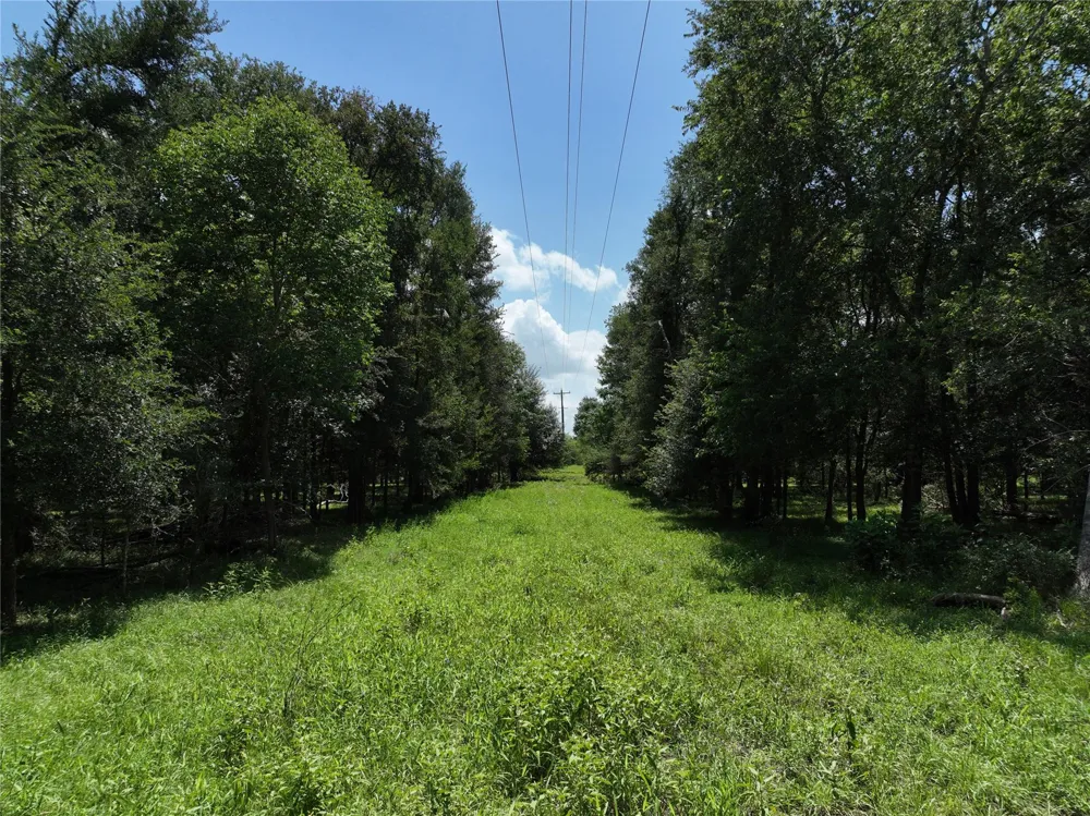FM 2239 Paige, TX 78659