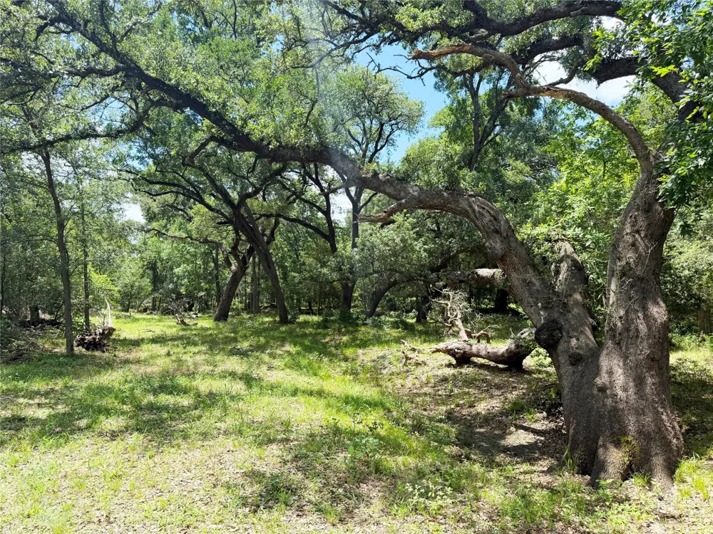 FM 2239 Paige, TX 78659