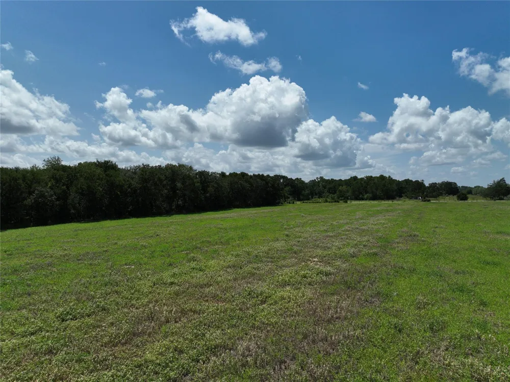 FM 2239 Paige, TX 78659