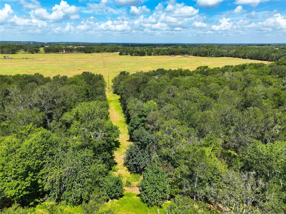FM 2239 Paige, TX 78659