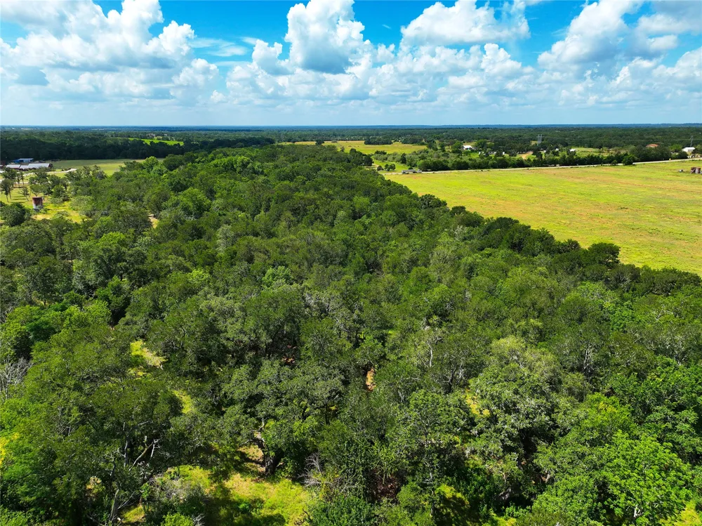 FM 2239 Paige, TX 78659