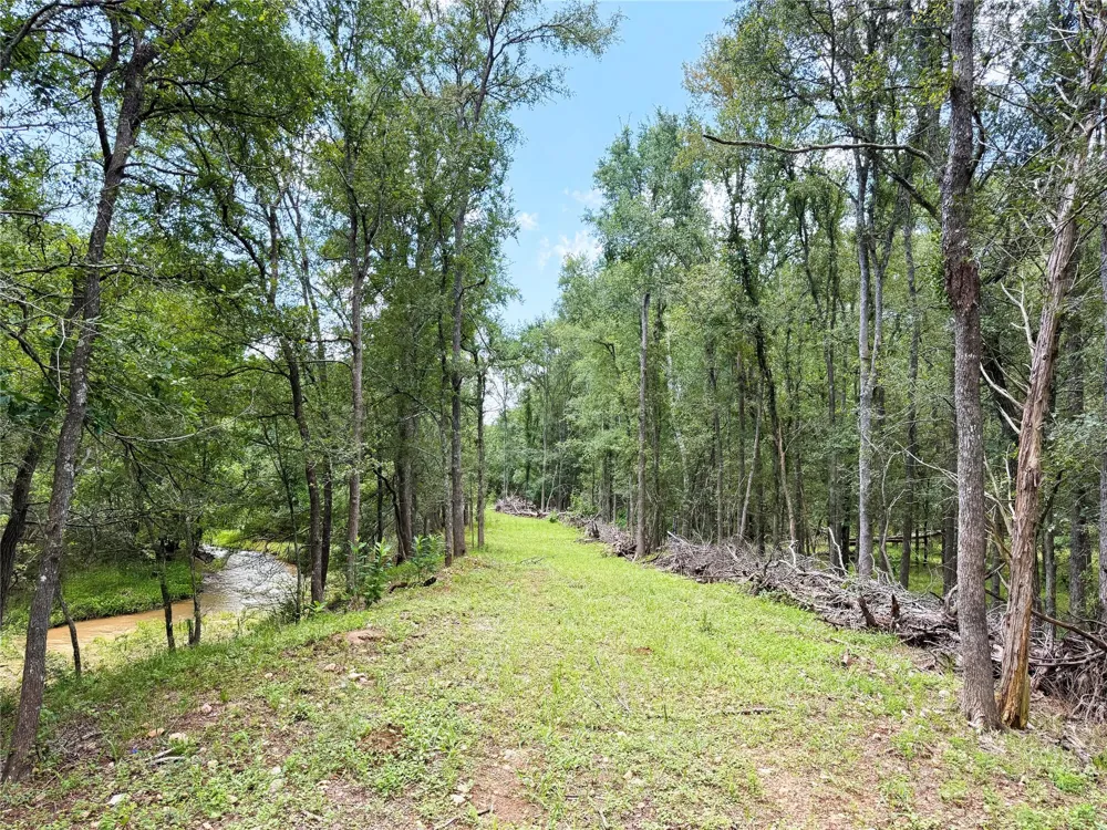 FM 2239 Paige, TX 78659
