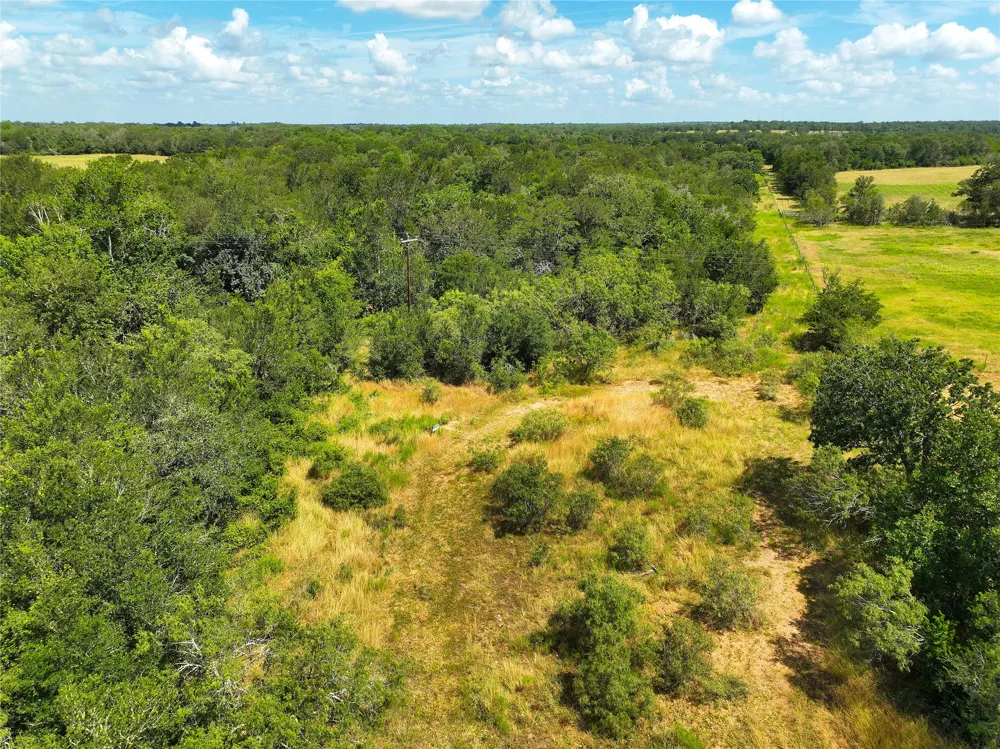 FM 2239 Paige, TX 78659