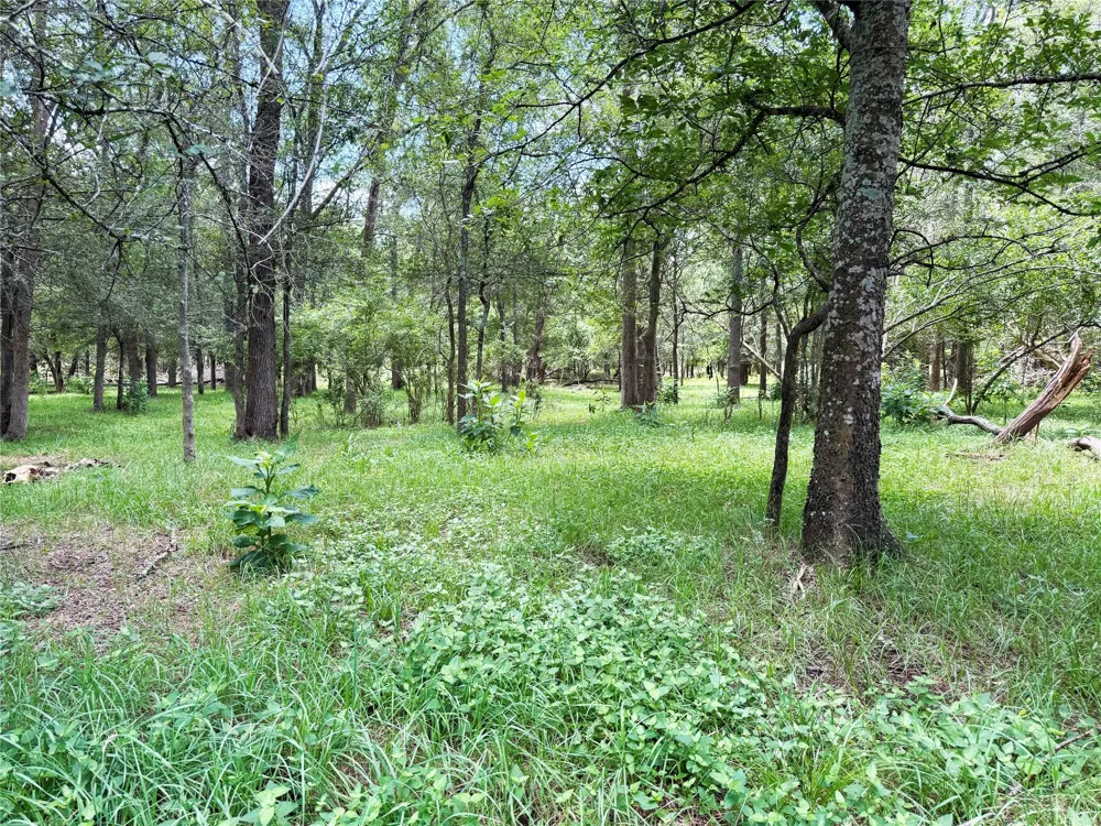 FM 2239 Paige, TX 78659