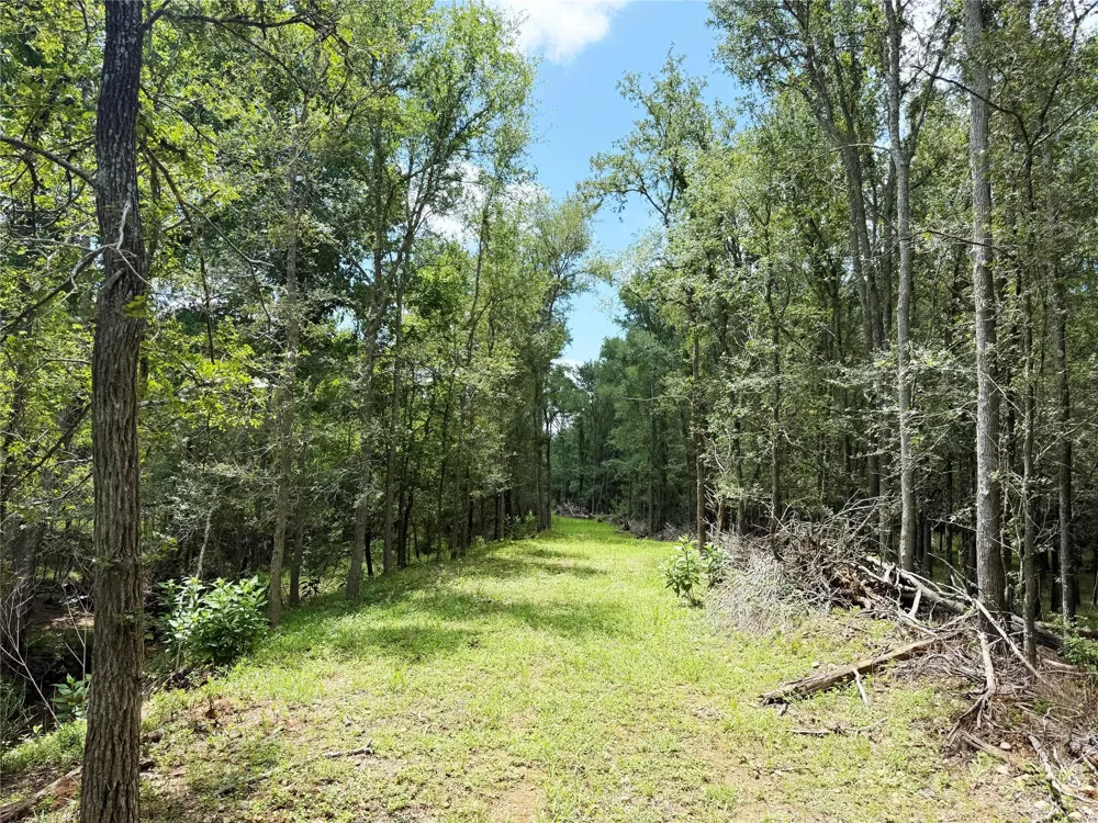 FM 2239 Paige, TX 78659
