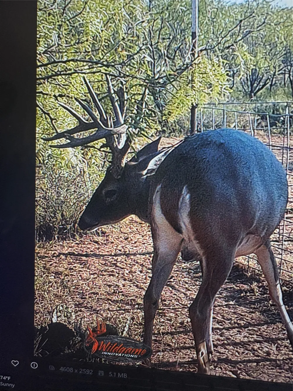 CR 454 Sagerton, TX 79548