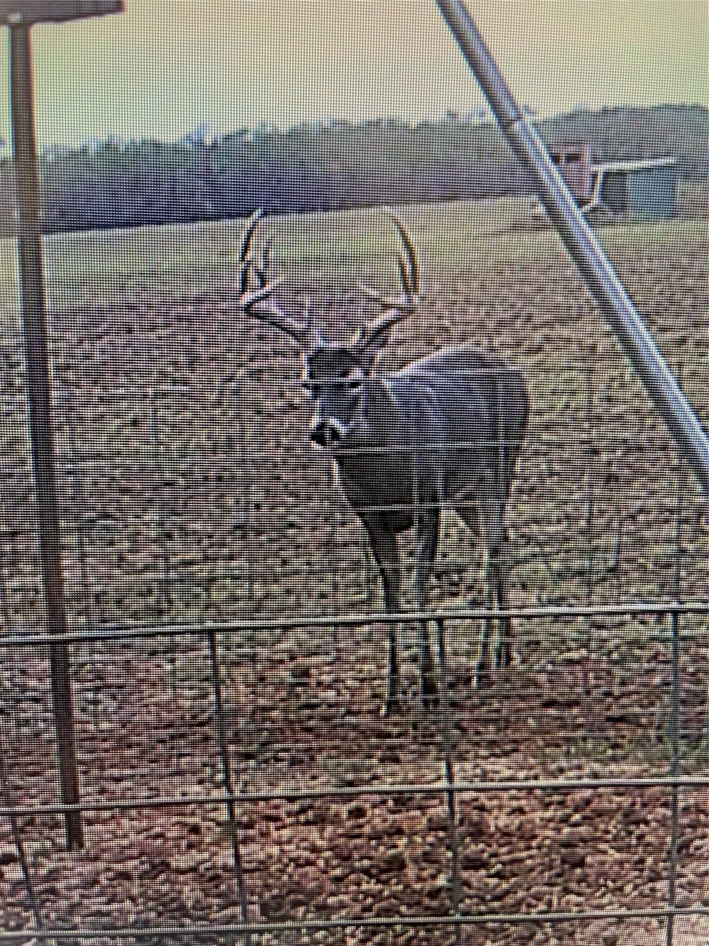 CR 454 Sagerton, TX 79548