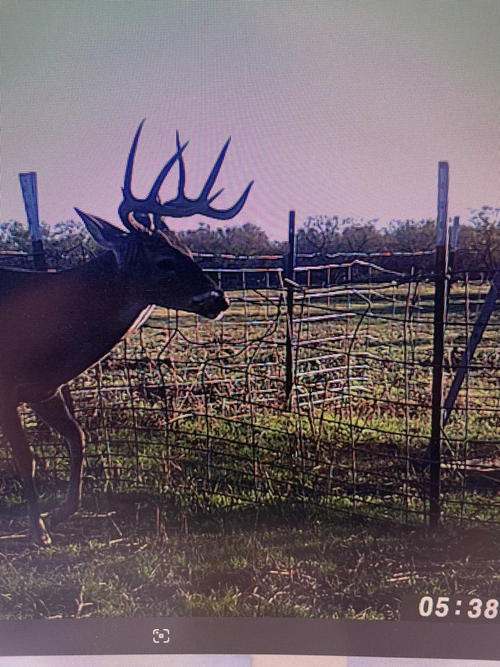 CR 454 Sagerton, TX 79548