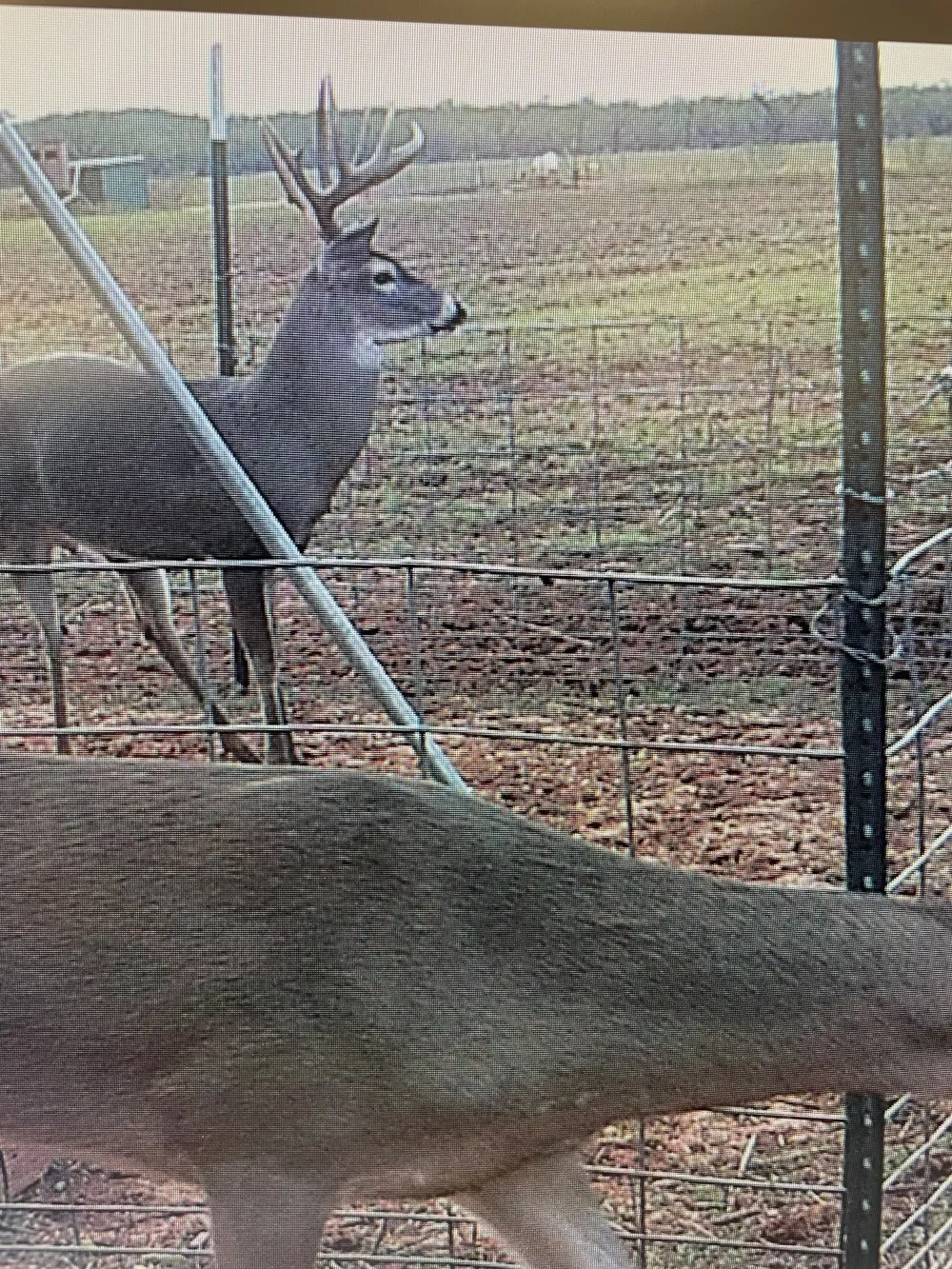 CR 454 Sagerton, TX 79548