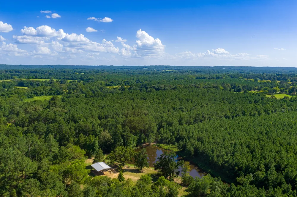 County Road 1310 Rusk, TX 75785