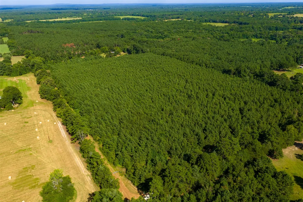 County Road 1310 Rusk, TX 75785