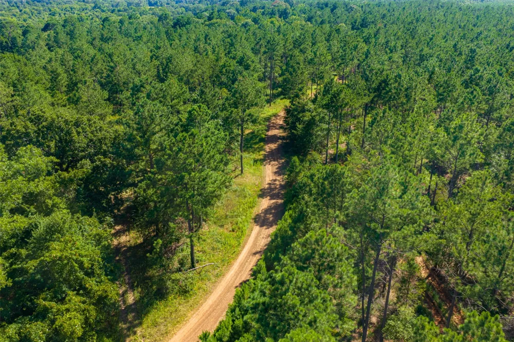 County Road 1310 Rusk, TX 75785
