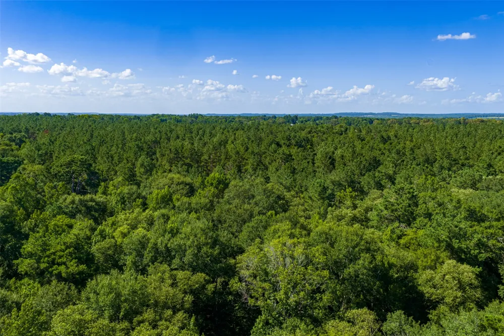 County Road 1310 Rusk, TX 75785