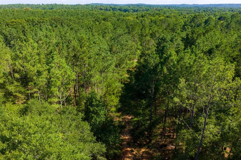County Road 1310 Rusk, TX 75785