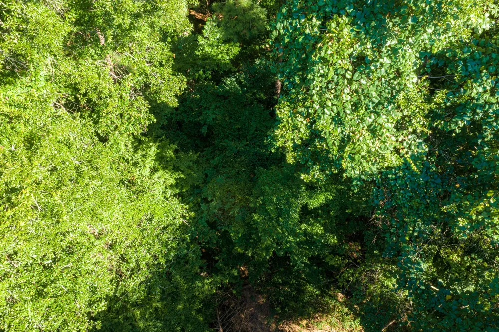 County Road 1310 Rusk, TX 75785