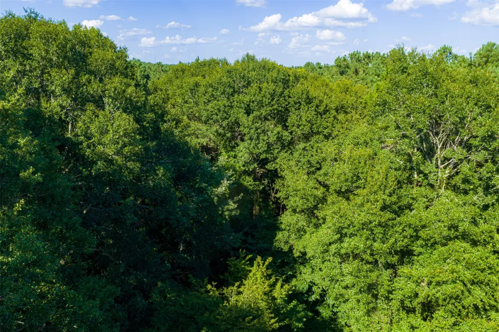 County Road 1310 Rusk, TX 75785