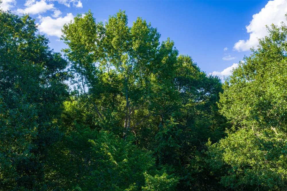 County Road 1310 Rusk, TX 75785