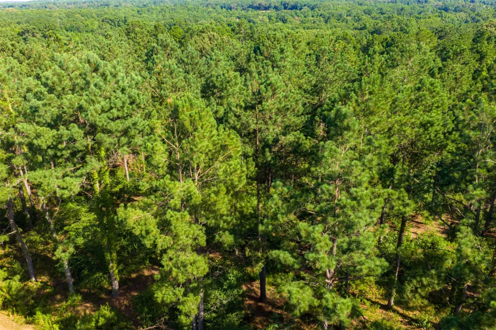 County Road 1310 Rusk, TX 75785
