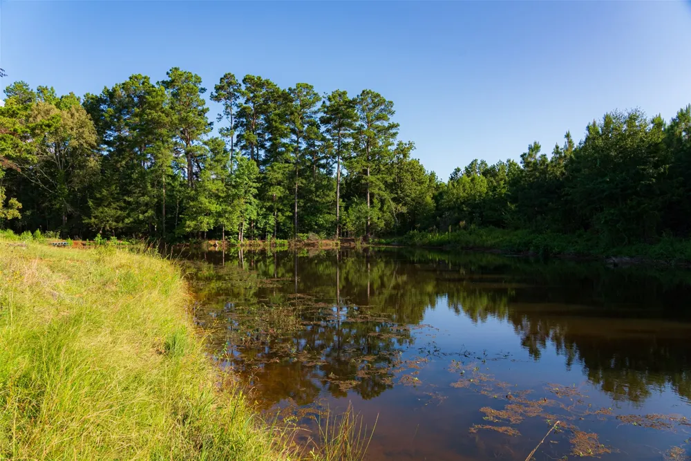 County Road 1310 Rusk, TX 75785