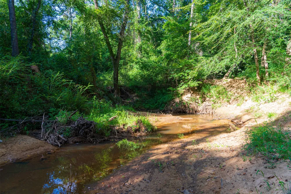 County Road 1310 Rusk, TX 75785