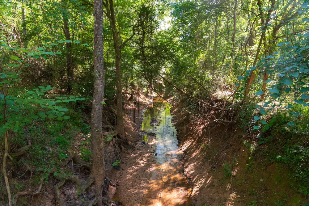 County Road 1310 Rusk, TX 75785