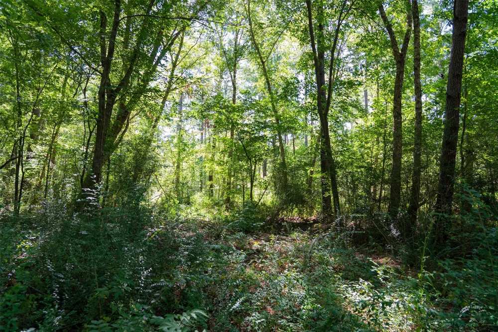 County Road 1310 Rusk, TX 75785