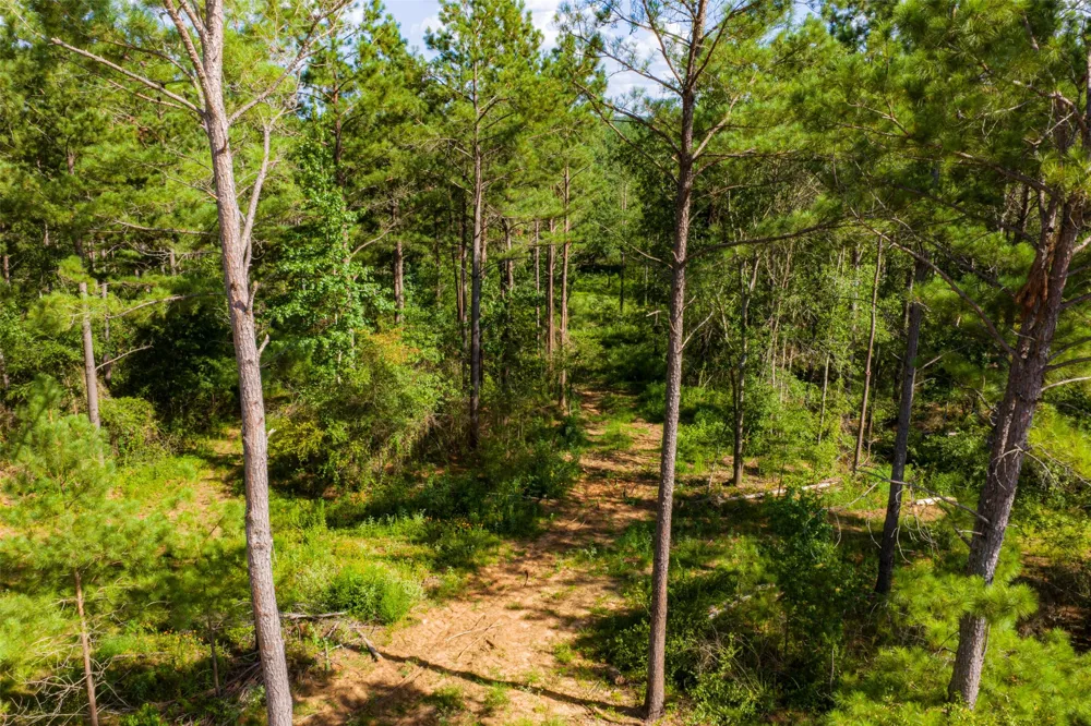 County Road 1310 Rusk, TX 75785