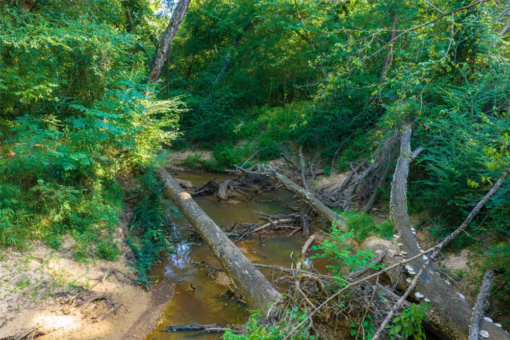 County Road 1310 Rusk, TX 75785