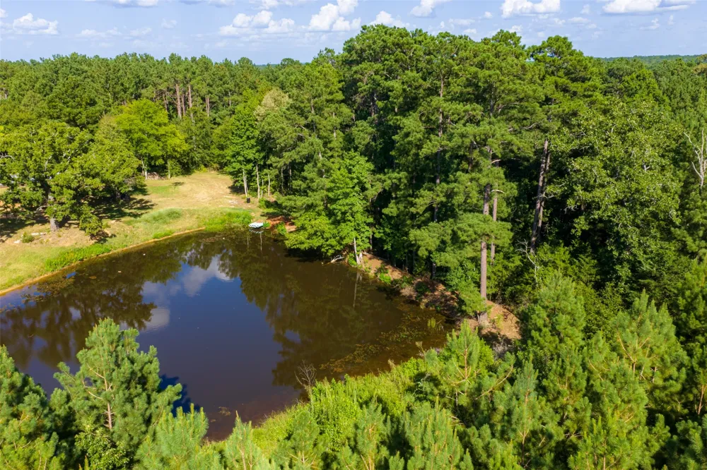 County Road 1310 Rusk, TX 75785